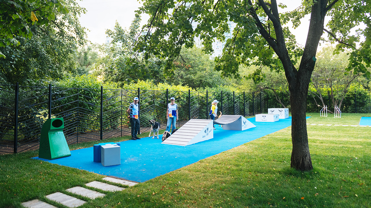 Площадка для выгула собак в Афганском сквере (ВАО, Новогиреево)