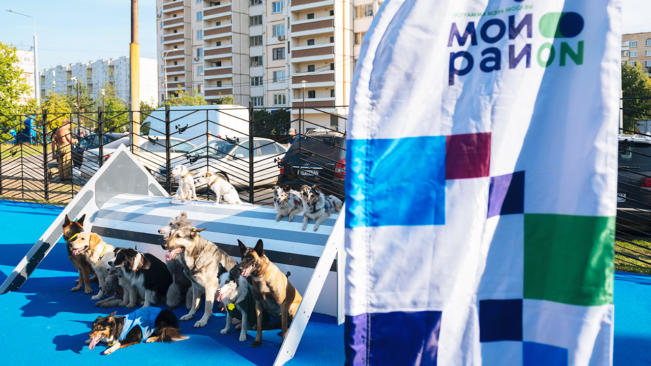 Площадка для выгула собак на Алтайской улице (ВАО, Гольяново)