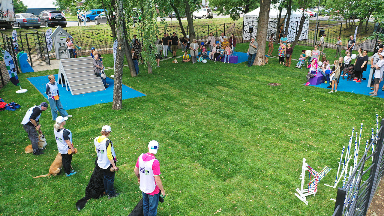 Площадка для выгула собак на Бескудниковском бульваре (CАО, Бескудниковский)