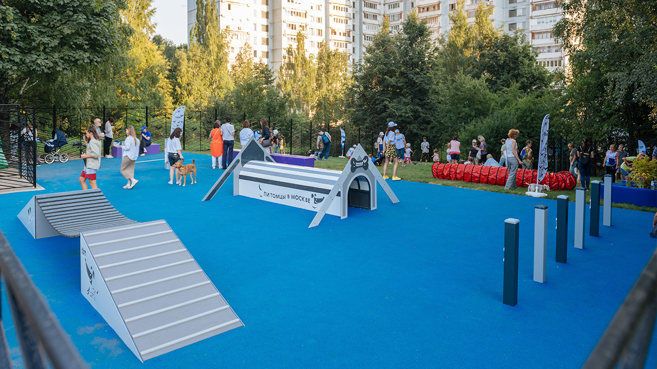 Площадка для выгула собак на улице Инессы Арманд (ЮЗАО, Ясенево)