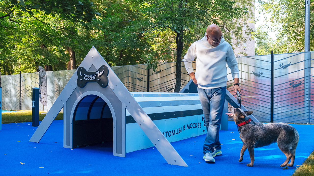 Площадка для выгула собак на Красноармейской улице (САО, Аэропорт)