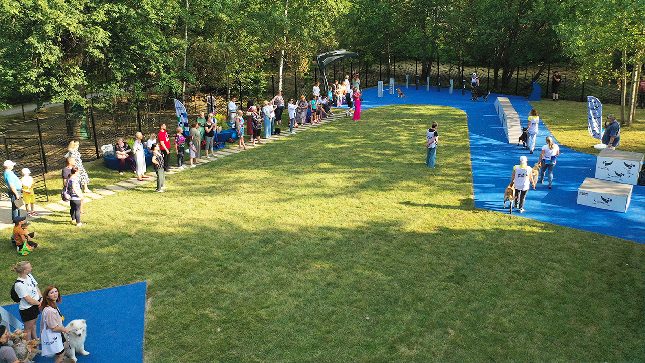 Площадка для выгула собак в сквере на Лукинской улице (ЗАО, Ново-Переделкино)