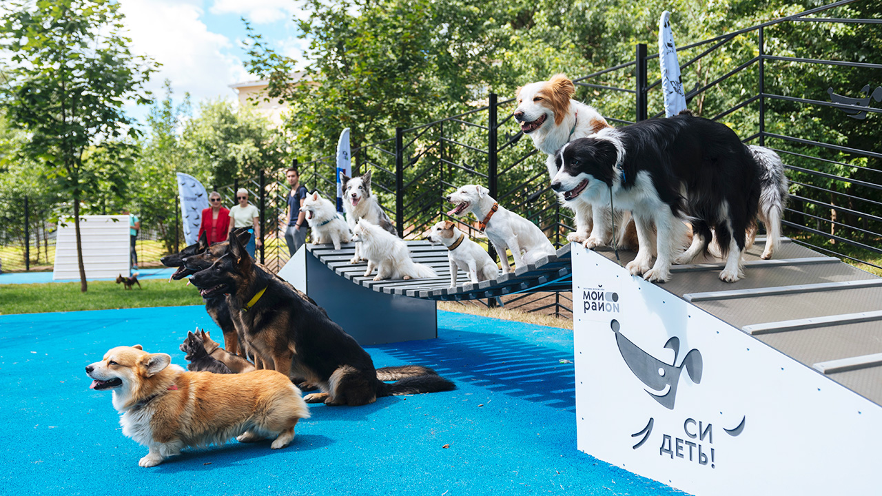 Площадка для выгула собак на улице Преображенский вал (ВАО, Преображенское)