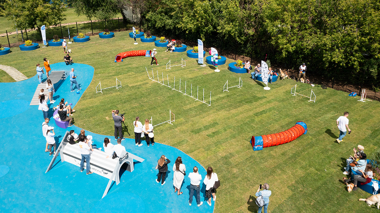 Площадка для выгула собак на улице Затонная (ЮАО, Нагатинский затон)