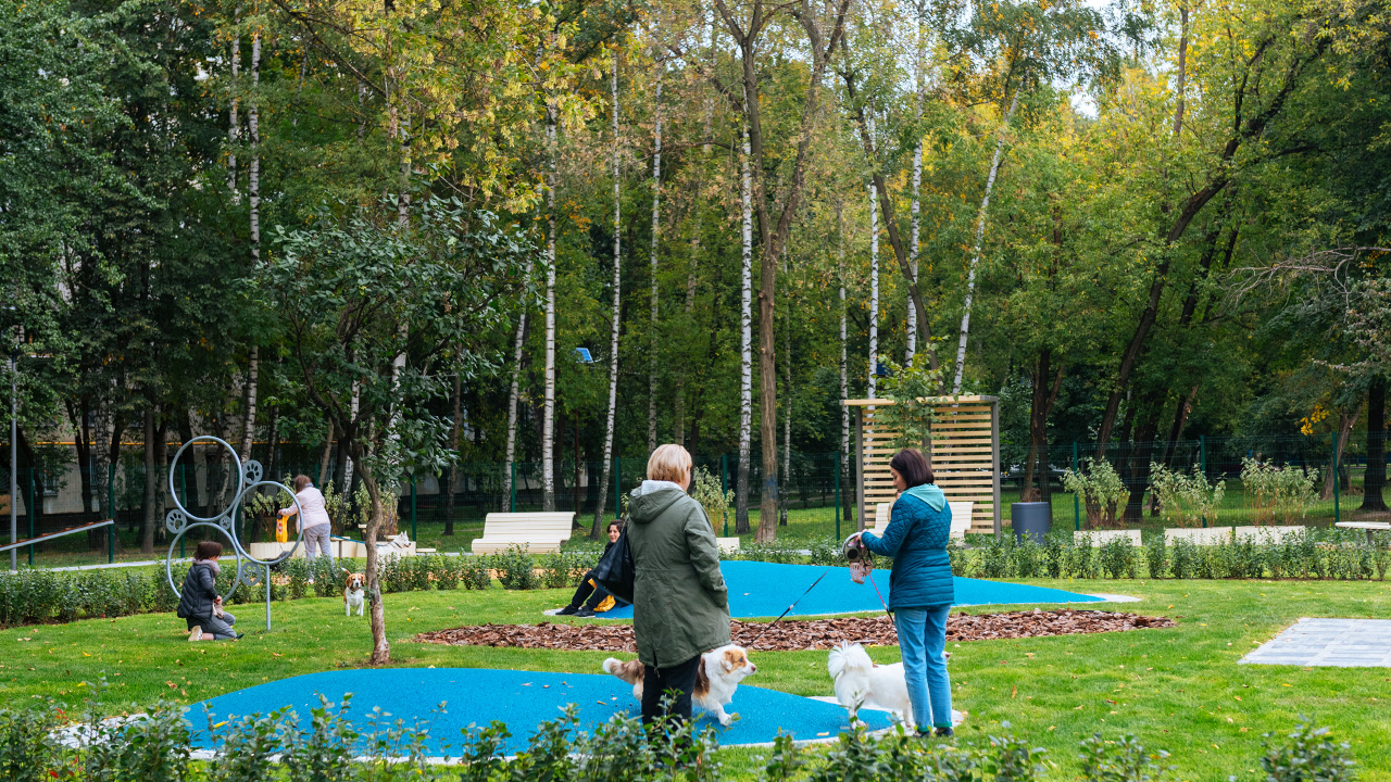 Площадка для выгула собак в Анадырском проезде (СВАО, Лосиноостровский)