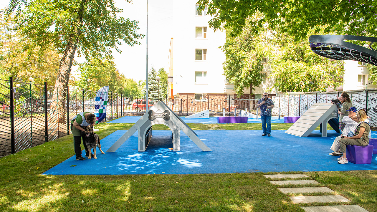 Площадка для выгула собак на Скаковой улице (САО, Беговой)