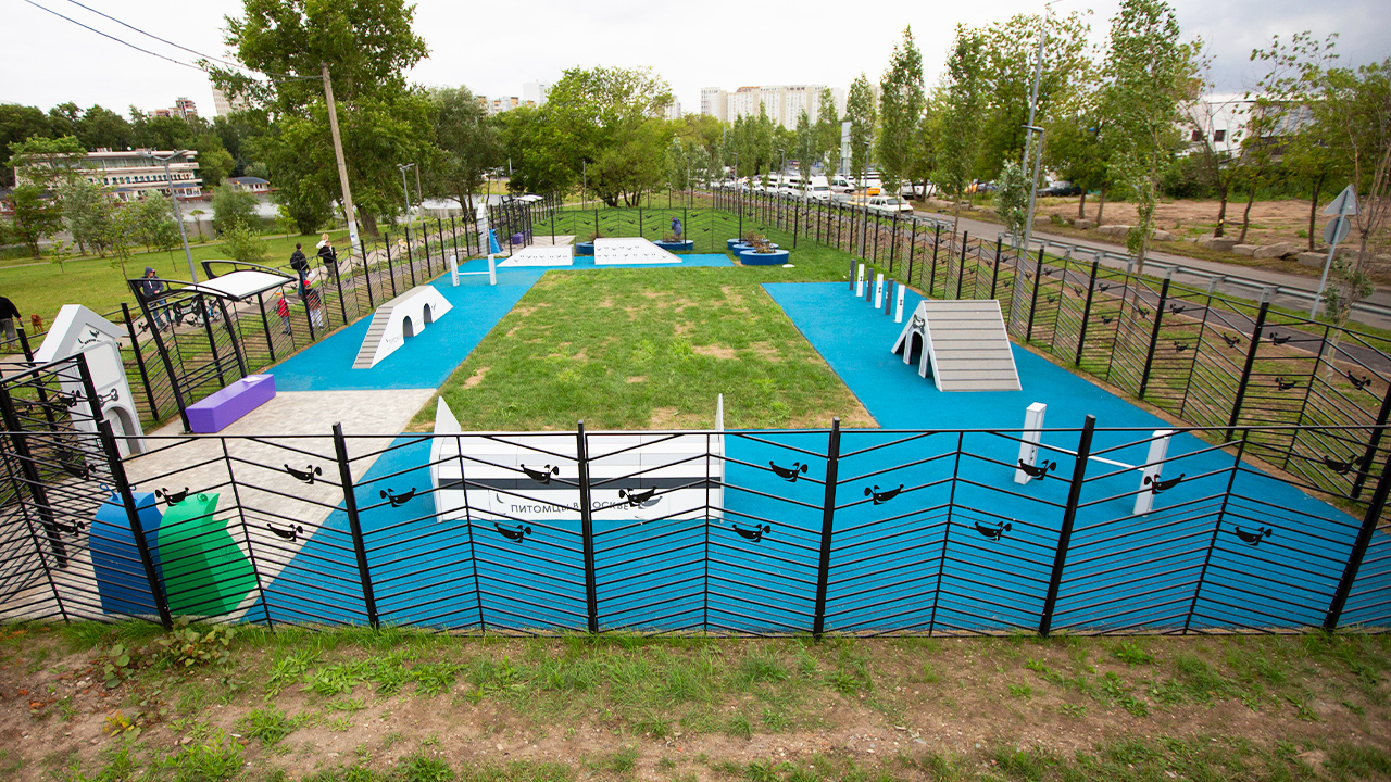 Площадка для выгула собак на улице Джамгаровская (СВАО, Лосиноостровский)