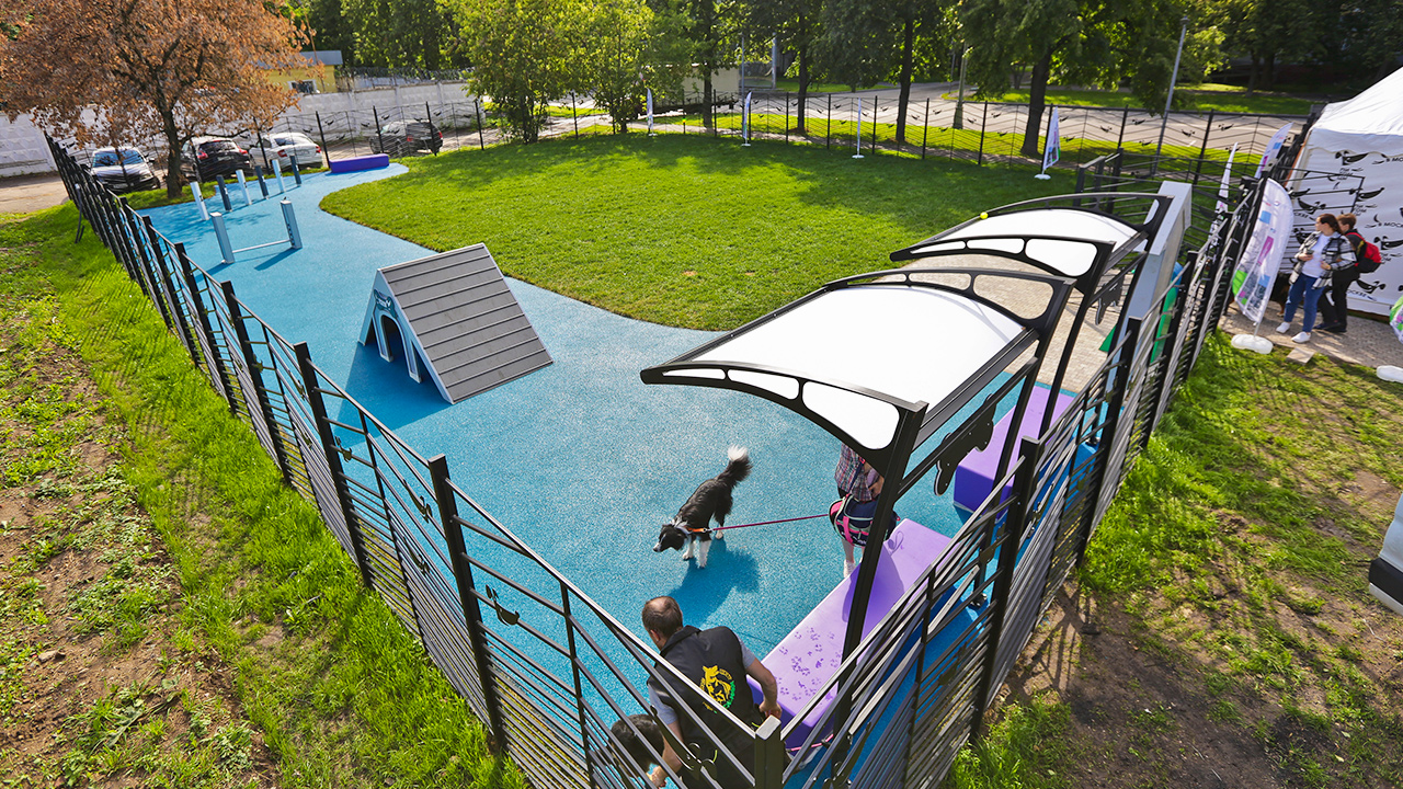 Площадка для выгула собак на улице Косинская (ВАО, Вешняки)