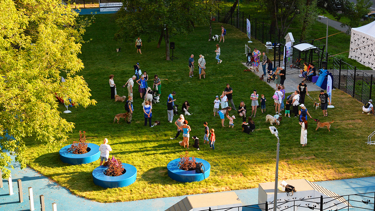 Площадка для выгула собак на улице Новосибирская (ВАО, Гольяново)