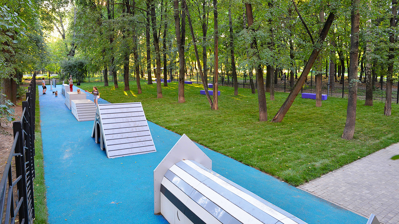 Площадка для выгула собак на Сиреневом бульваре (ВАО, Северное Измайлово)