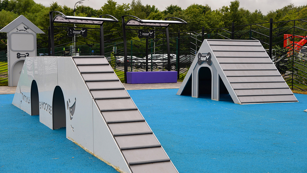 Площадка для выгула собак на улице Юности (ВАО, Вешняки)