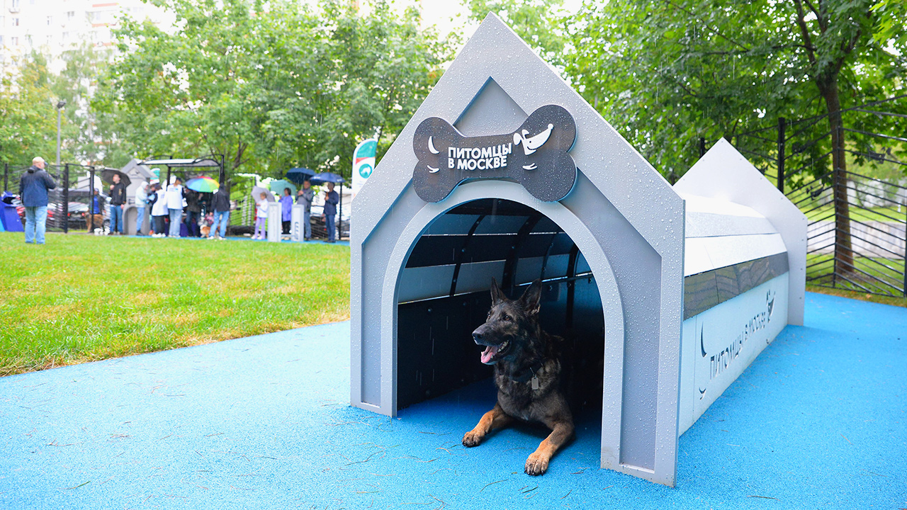 Площадка для выгула собак в Юрловском проезде (СВАО, Отрадное)