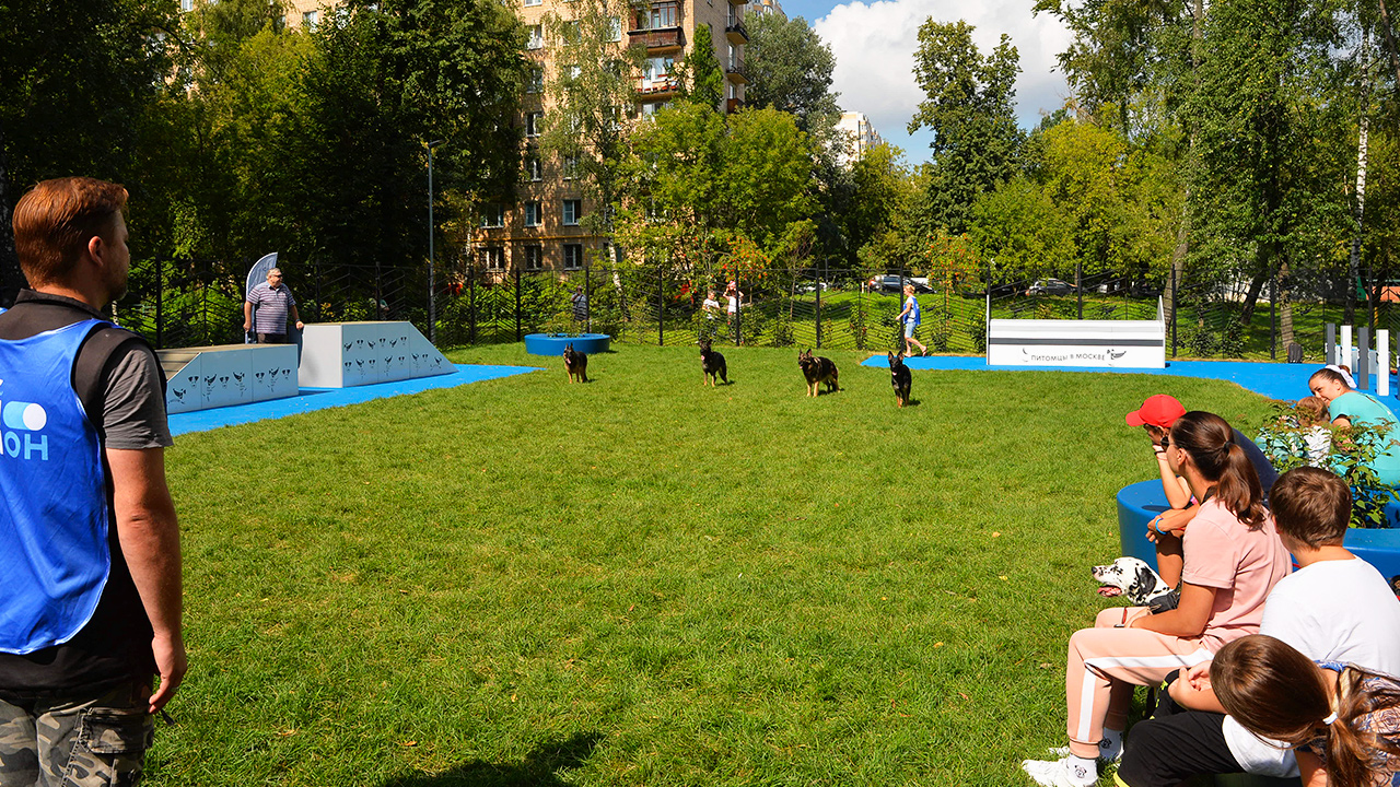 Площадка для выгула собак на Валдайском проезде (САО, Левобережный)