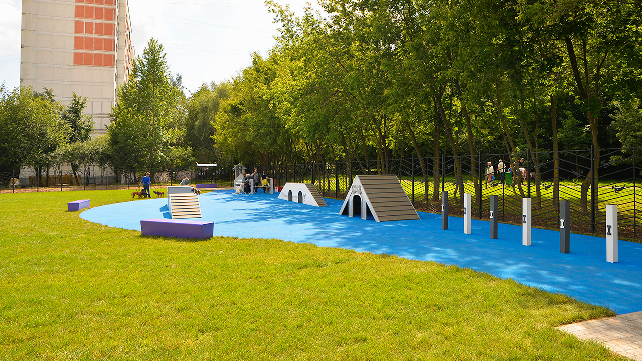 Площадка для выгула собак на улице Введенского (ЮЗАО, Коньково)