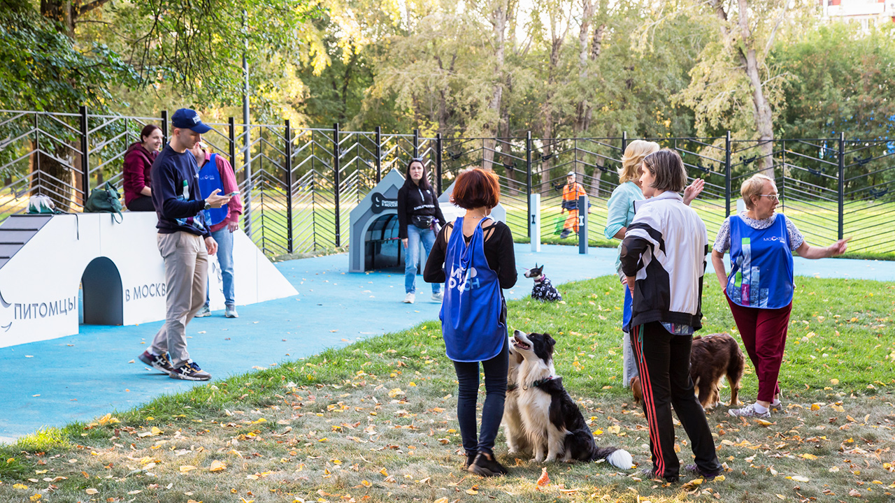 Площадка для выгула собак в Южном Хапиловском сквере (ВАО, Преображенское)