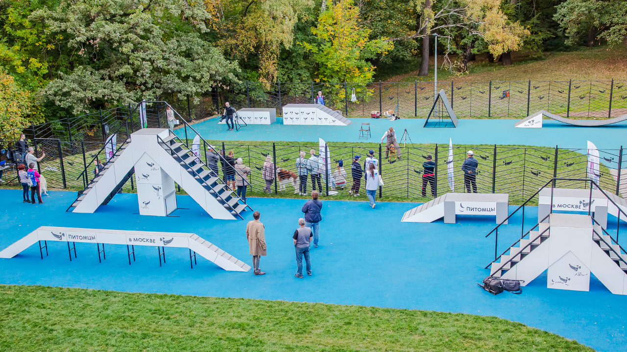 Площадка для выгула собак на Нахимовском проспекте (ЮЗАО, Котловка)