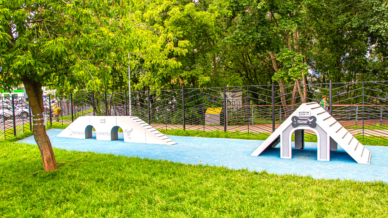 Площадка для выгула собак на Тамбовской улице (ЮАО, Орехово-Борисово Южное)