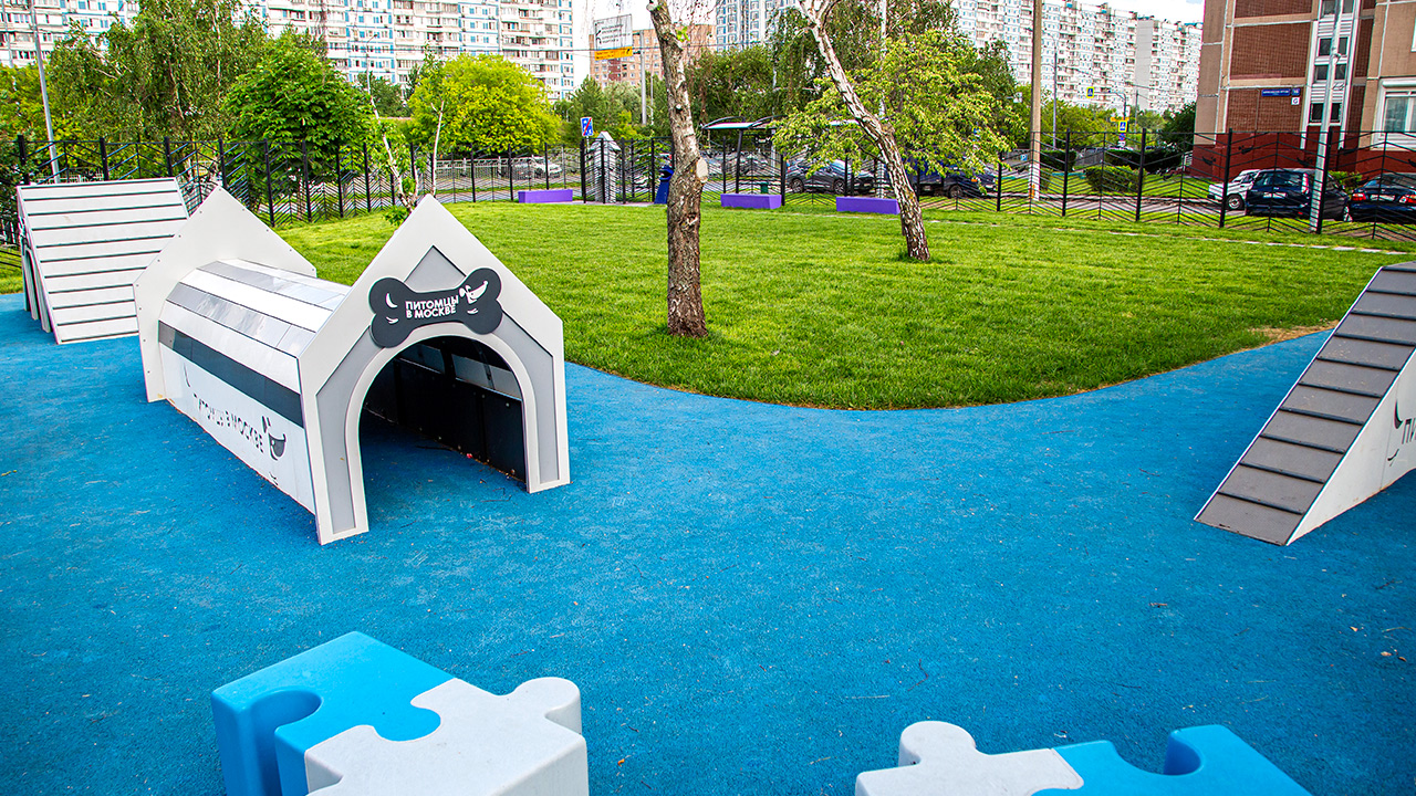 Площадка для выгула собак на улице Борисовские пруды (ЮАО, Братеево)