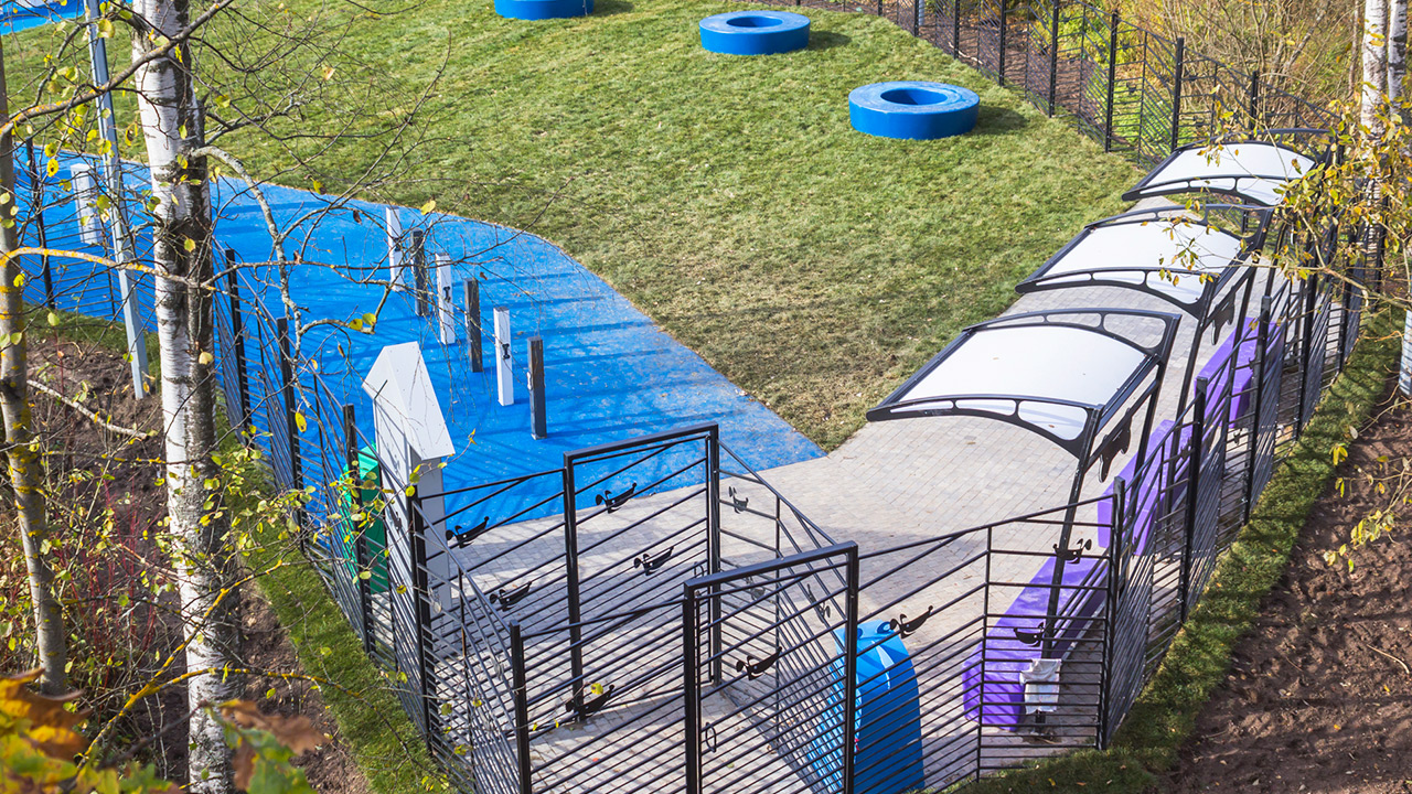 Площадка для выгула собак на Изваринской улице (ТиНАО, Внуково)