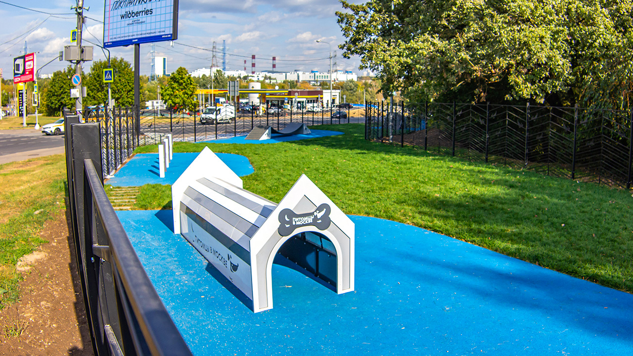 Площадка для выгула собак на улице Коктебельская (ЮЗАО, Северное Бутово)