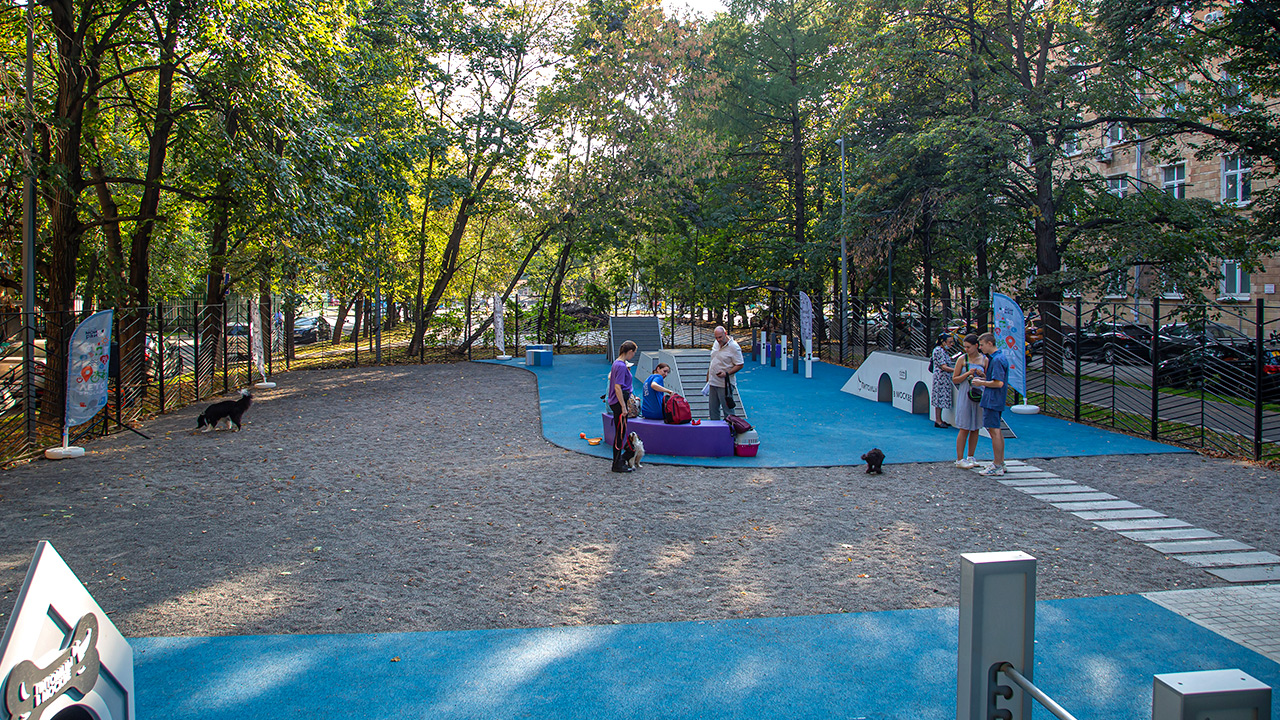 Площадка для выгула собак на Ломоносовском проспекте (ЮЗАО, Гагаринский)