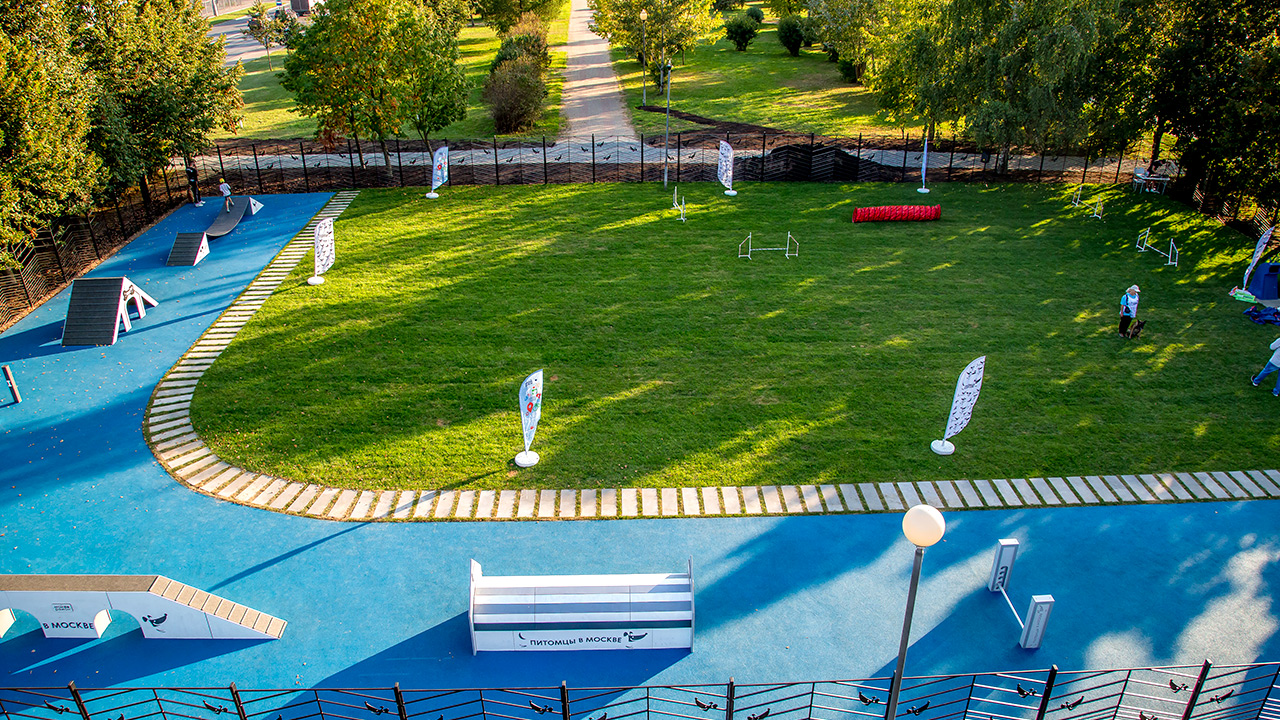 Площадка для выгула собак в Чечёрском проезде (ЮЗАО, Южное Бутово)