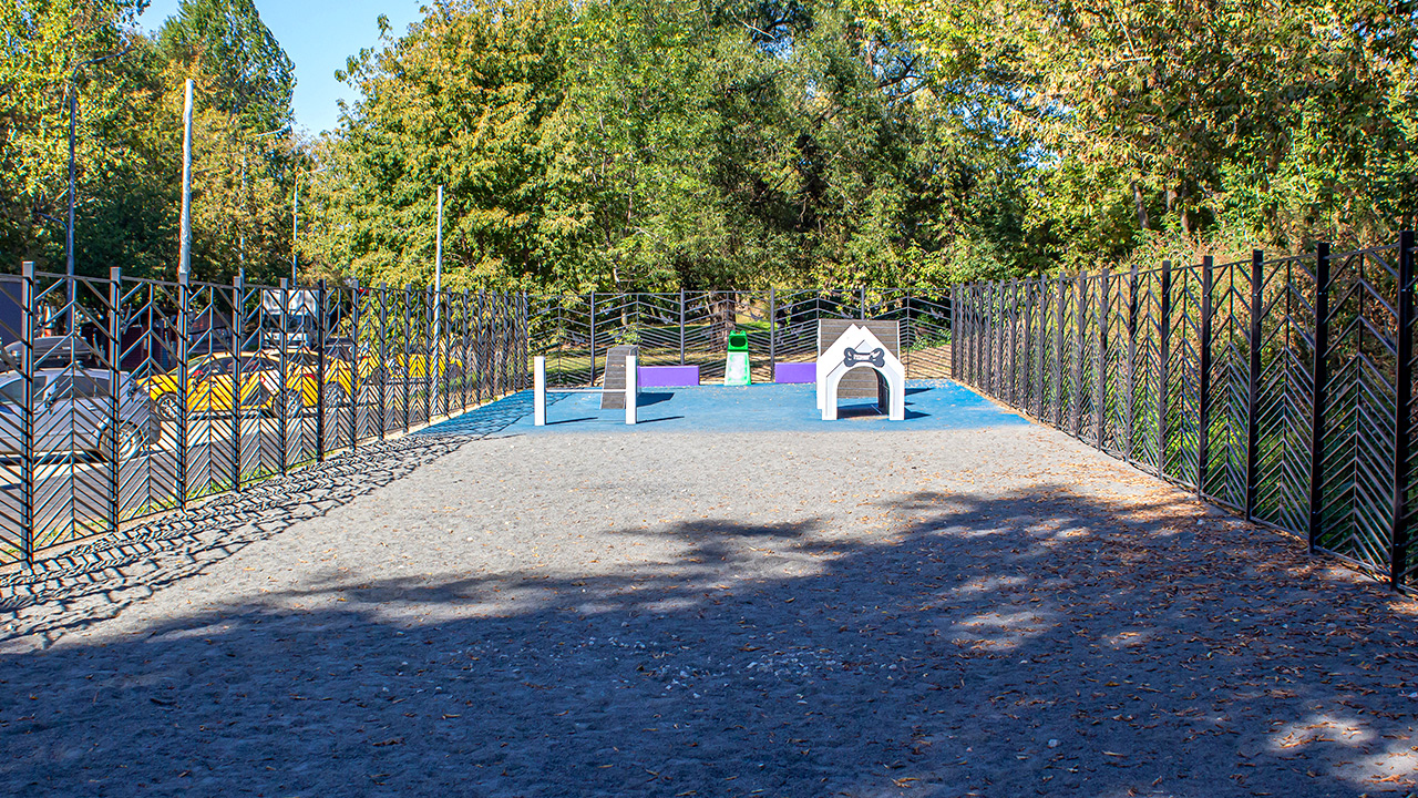 Площадка для собак на Чистопольской улице (ЮВАО, Нижегородский)