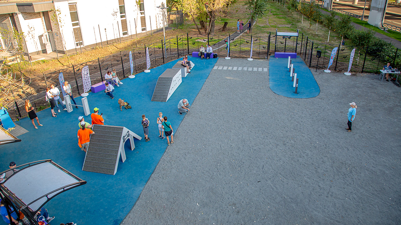 Площадка для выгула собак на Мастеровой улице (ВАО, Перово)