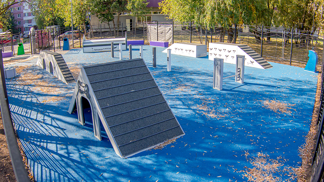 Площадка для выгула собак на Новокосинской улице (ВАО, Новокосино)