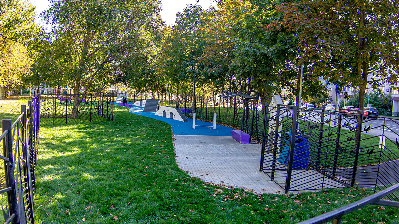 Площадка для выгула собак в Юрьевском переулке (ЮВАО, Лефортово)