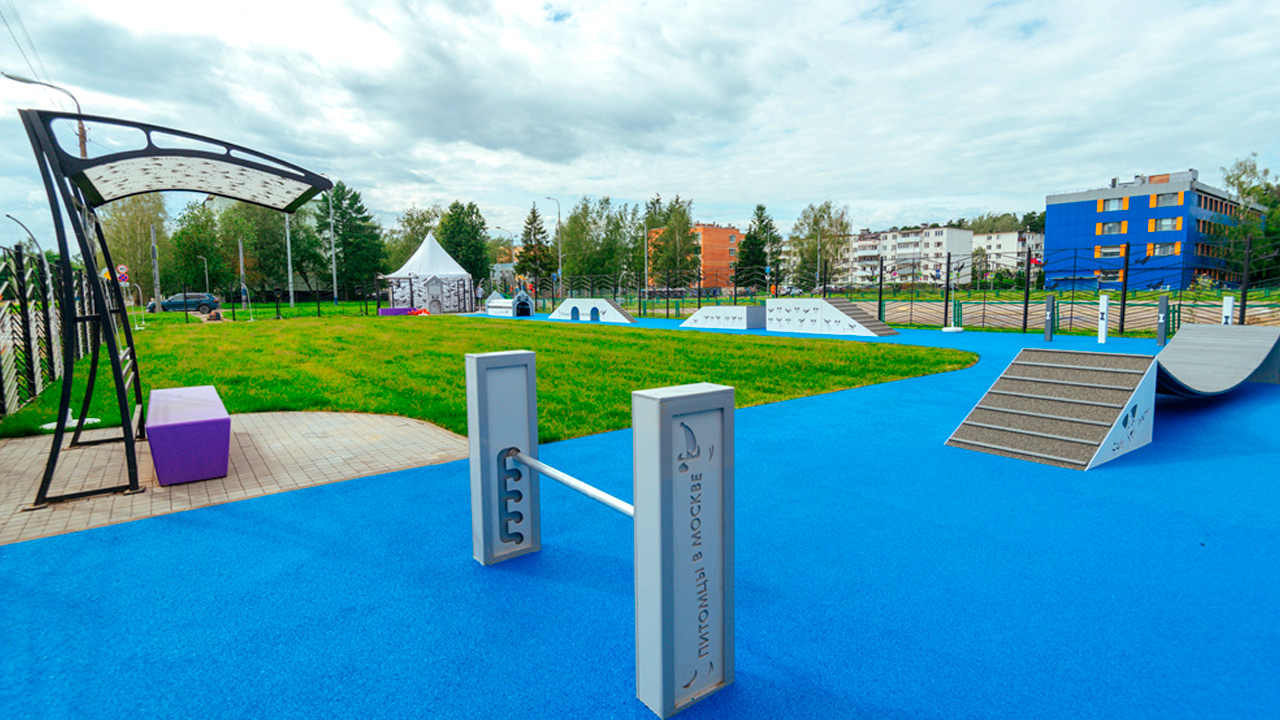 Площадка для выгула собак в д. Яковлевское (ТиНАО, Бекасово)