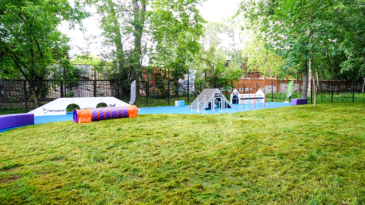 Площадка для выгула собак на улице Гамалеи (СЗАО, Щукино)